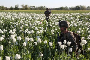 U.S. armed forces walking through an opium poppy field. Credit: publicintelligence.net