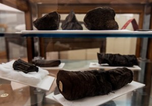 Gases and ash from Mount Vesuvius turned the Herculaneum scrolls into carbonized plant material.  Credit Salvatore Laporta/Associated Press 