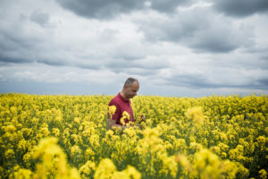  Arnaud Rousseau, a sixth-generation farmer in France, in a field of rapeseed. Twenty years ago, Europe largely rejected genetic modification at the same time the United States and Canada were embracing it. Credit: Ed Alcock/The New York Times 